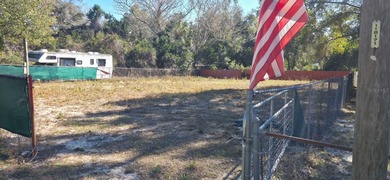 Tsala Apopka Chain of Lakes Lot For Sale in Floral City Florida