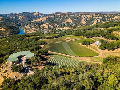 Gandona Wine Estate is located on prestigious Pritchard Hill and - photo 12