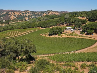 Gandona Wine Estate is located on prestigious Pritchard Hill and - photo 24