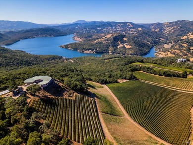 Gandona Wine Estate is located on prestigious Pritchard Hill and - photo 28
