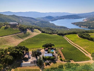 Gandona Wine Estate is located on prestigious Pritchard Hill and - photo 29