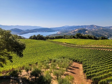 Gandona Wine Estate is located on prestigious Pritchard Hill and - photo 30