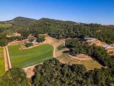 Gandona Wine Estate is located on prestigious Pritchard Hill and - photo 31