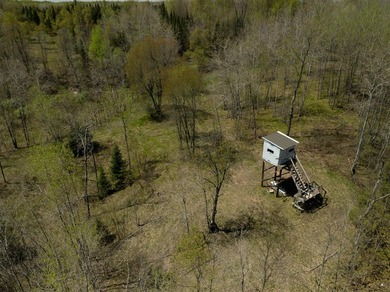 Amazing custom built home on 40 wooded acres near White Lake in - photo 46