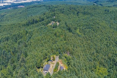 Rare opportunity to own just under 10 acres of Oregon Coast - photo 2