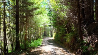Rare opportunity to own just under 10 acres of Oregon Coast - photo 3