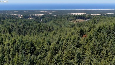 Rare opportunity to own just under 10 acres of Oregon Coast - photo 5