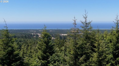 Rare opportunity to own just under 10 acres of Oregon Coast - photo 6