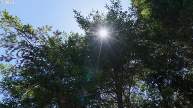 Rare opportunity to own just under 10 acres of Oregon Coast - photo 9