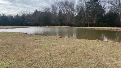 Lake Acreage For Sale in Ozark, Arkansas