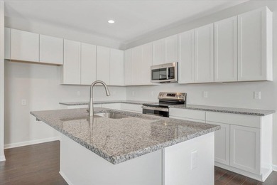 One level living. This spacious home features an open concept - photo 11