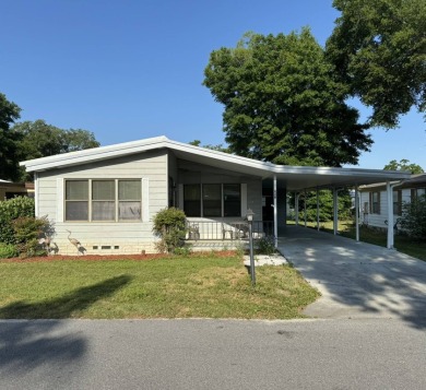Lake Sunshine Home For Sale in Lady Lake Florida
