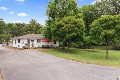 Located in the heart of Grand Rivers, this 3-bedroom, 1 - photo 15