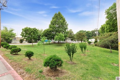 Located in the heart of Grand Rivers, this 3-bedroom, 1 - photo 16