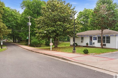 Located in the heart of Grand Rivers, this 3-bedroom, 1 - photo 19