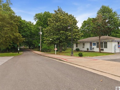 Located in the heart of Grand Rivers, this 3-bedroom, 1 - photo 23