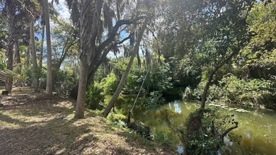 Step into your own private slice of *Old Florida* with this - photo 4