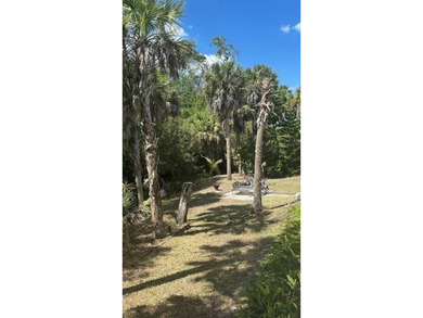 Step into your own private slice of *Old Florida* with this - photo 5