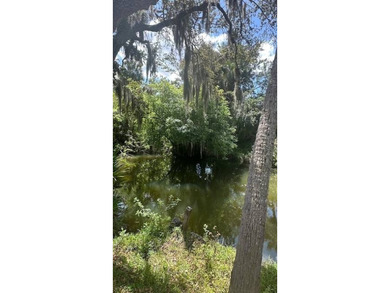 Step into your own private slice of *Old Florida* with this - photo 6