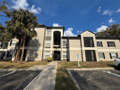 Boo Boo Lake Condo For Sale in Orlando Florida