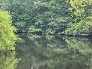 You can own this buildable waterfront lot at a great price - photo 3