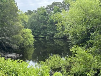 You can own this buildable waterfront lot at a great price - photo 4