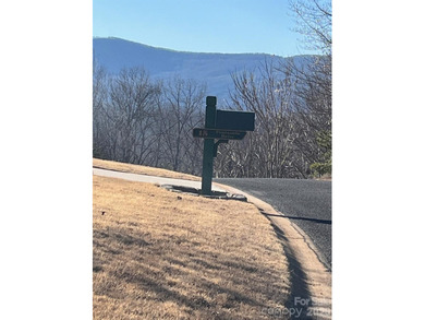 Introducing this stunning 2.06 acre lake front lot, nestled in - photo 4