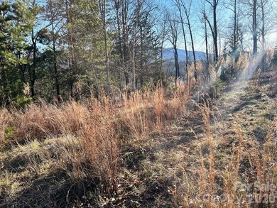 Introducing this stunning 2.06 acre lake front lot, nestled in - photo 5