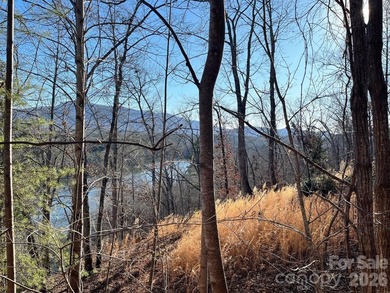 Introducing this stunning 2.06 acre lake front lot, nestled in - photo 8