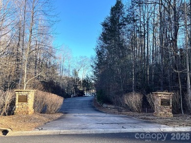 Introducing this stunning 2.06 acre lake front lot, nestled in - photo 9