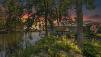 Saginaw Bay Lake Huron 3 Acre Buildable Lot With Cabin & Pole Bar - Lake Acreage For Sale in Unionville, Michigan
