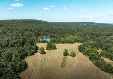 (private lake, pond, creek) Lot For Sale in Ironton Missouri