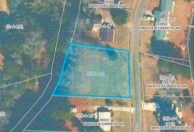 1/2 (+/-) acre homesite on a natural canal, high ground. Launch - photo 3