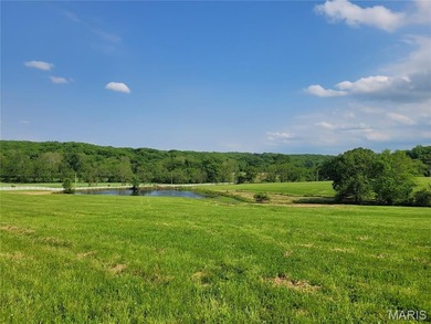 (private lake, pond, creek) Acreage Sale Pending in Eolia Missouri