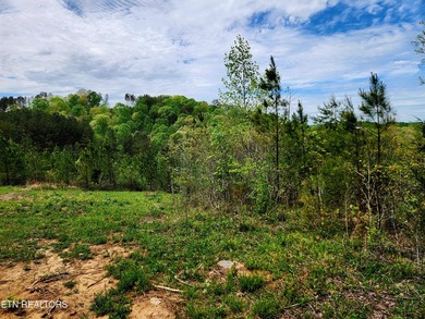 Come set your eyes on your future homesite at The Retreat at - photo 12