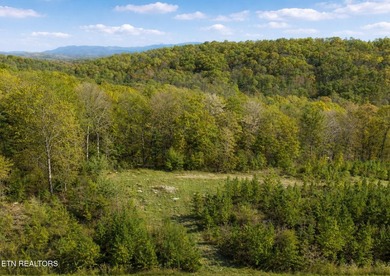 Come set your eyes on your future homesite at The Retreat at - photo 13
