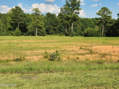 (private lake, pond, creek) Acreage For Sale in Forsyth Georgia