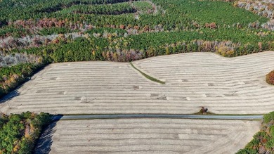 (private lake, pond, creek) Lot For Sale in Kenbridge Virginia