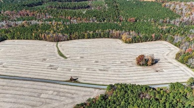 (private lake, pond, creek) Lot For Sale in Kenbridge Virginia