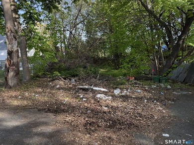 Rare opportunity to acquire an additional lot in a desirable - photo 3