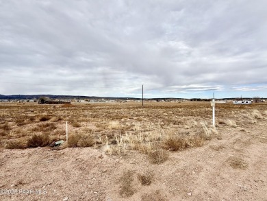 Holiday Lake  Lot For Sale in Paulden Arizona