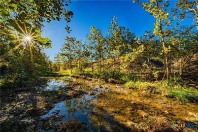 Lake Acreage For Sale in Salado, Texas