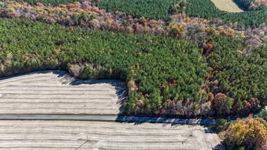 Lake Lot For Sale in Kenbridge, Virginia