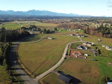 Prime 1 acre building lot with Olympic Mountain View and paved - photo 1