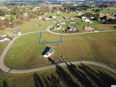 Prime 1 acre building lot with Olympic Mountain View and paved - photo 7