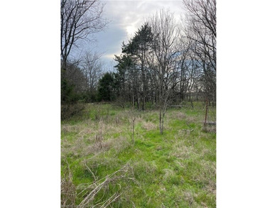 (private lake, pond, creek) Commercial Active Under Contract in Moyers Oklahoma