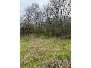 **OWNER FINANCING AVAILABLE** THIS 1.5 ACRES IS BEAUTIFUL!! - photo 2