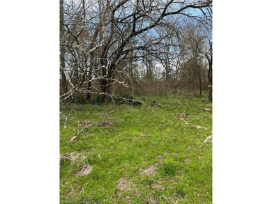 **OWNER FINANCING AVAILABLE** THIS 1.5 ACRES IS BEAUTIFUL!! - photo 3