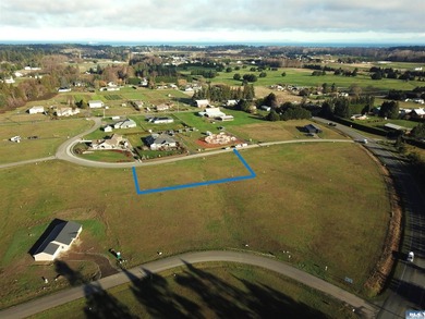 Prime 1 acre building lot with Olympic Mountain View and paved - photo 6