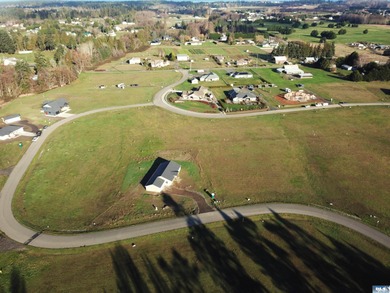 Prime 1 acre building lot with Olympic Mountain View and paved - photo 7